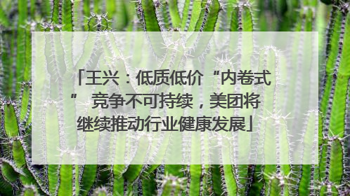 王兴：低质低价“内卷式” 竞争不可持续，美团将继续推动行业健康发展