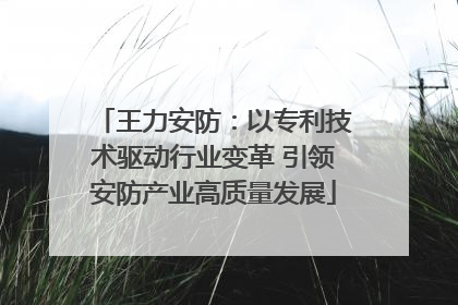 王力安防：以专利技术驱动行业变革 引领安防产业高质量发展