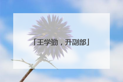 王学勤，升副部