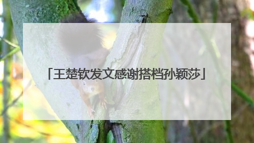 王楚钦发文感谢搭档孙颖莎