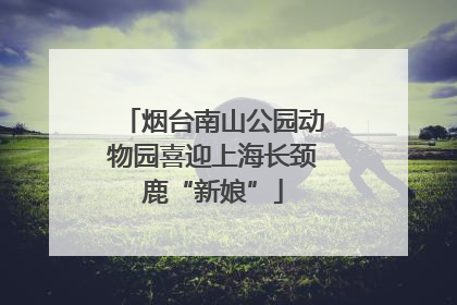 烟台南山公园动物园喜迎上海长颈鹿“新娘”