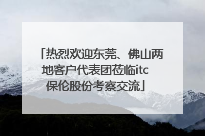 热烈欢迎东莞、佛山两地客户代表团莅临itc保伦股份考察交流