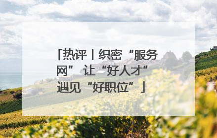 热评丨织密“服务网” 让“好人才”遇见“好职位”
