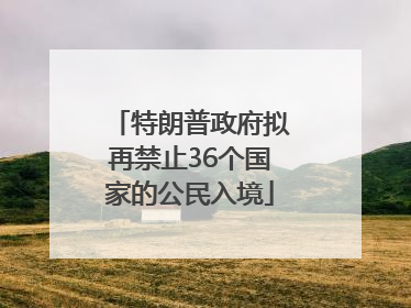 特朗普政府拟再禁止36个国家的公民入境