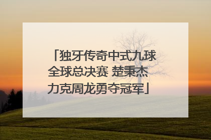 独牙传奇中式九球全球总决赛 楚秉杰力克周龙勇夺冠军