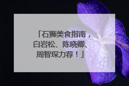 石狮美食指南，白岩松、陈晓卿、周智琛力荐！