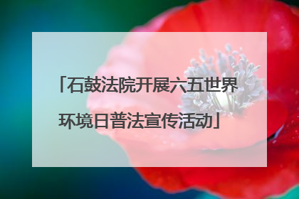 石鼓法院开展六五世界环境日普法宣传活动