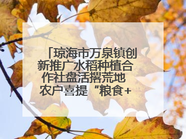 琼海市万泉镇创新推广水稻种植合作社盘活撂荒地 农户喜提“粮食+钞票”分红