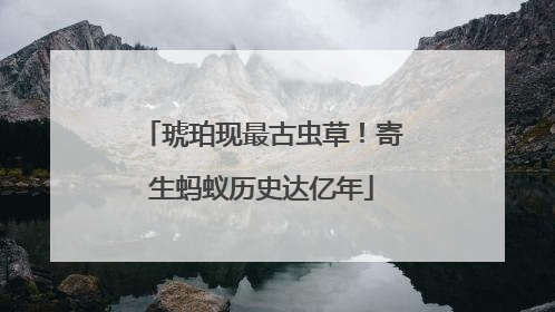 琥珀现最古虫草！寄生蚂蚁历史达亿年