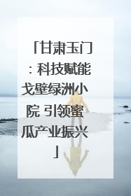 甘肃玉门：科技赋能戈壁绿洲小院 引领蜜瓜产业振兴
