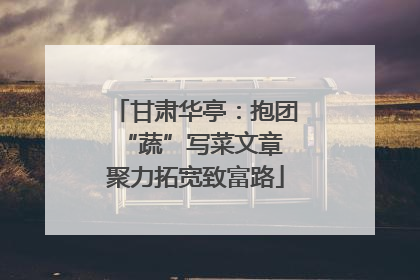 甘肃华亭：抱团“蔬”写菜文章 聚力拓宽致富路