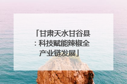 甘肃天水甘谷县：科技赋能辣椒全产业链发展