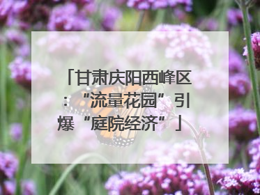 甘肃庆阳西峰区：“流量花园”引爆“庭院经济”