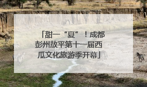 甜一“夏”！成都彭州敖平第十一届西瓜文化旅游季开幕