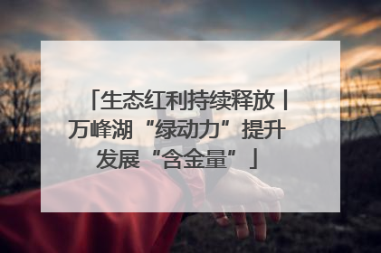生态红利持续释放丨万峰湖“绿动力”提升发展“含金量”