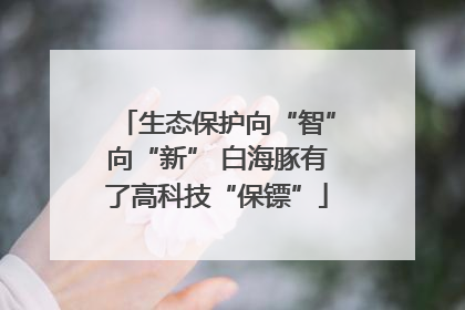 生态保护向“智”向“新” 白海豚有了高科技“保镖”
