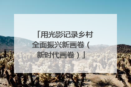 用光影记录乡村全面振兴新画卷（新时代画卷）