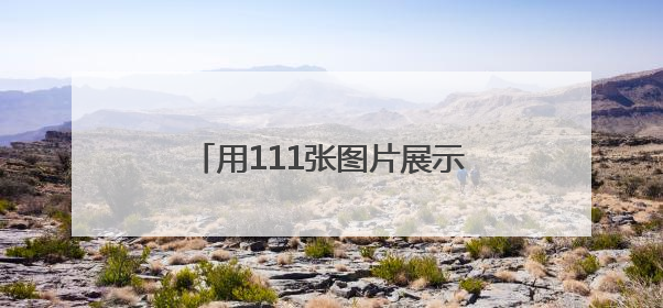 用111张图片展示国际友城往来成就