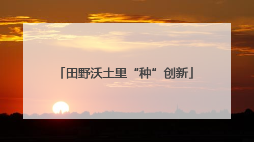 田野沃土里“种”创新