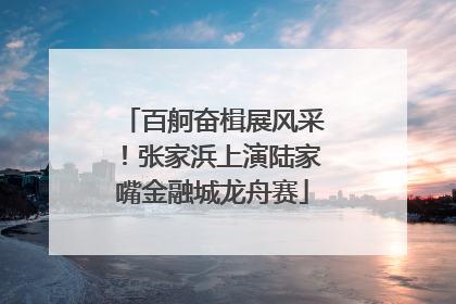 百舸奋楫展风采！张家浜上演陆家嘴金融城龙舟赛