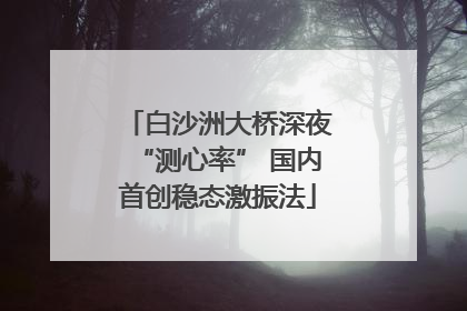 白沙洲大桥深夜“测心率” 国内首创稳态激振法