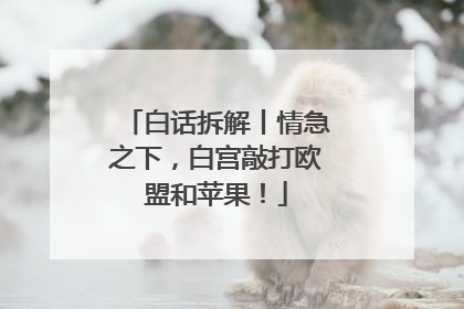 白话拆解丨情急之下，白宫敲打欧盟和苹果！