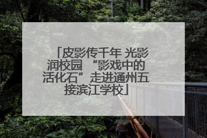 皮影传千年 光影润校园 “影戏中的活化石”走进通州五接滨江学校
