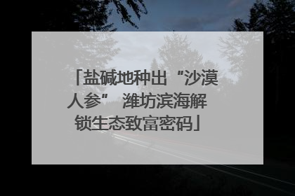 盐碱地种出“沙漠人参” 潍坊滨海解锁生态致富密码