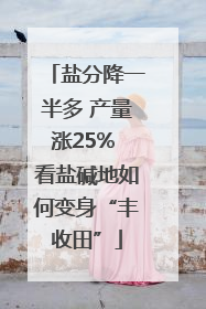 盐分降一半多 产量涨25% 看盐碱地如何变身“丰收田”