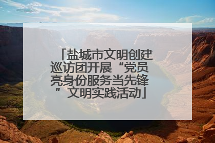 盐城市文明创建巡访团开展“党员亮身份服务当先锋”文明实践活动