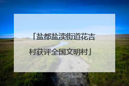 盐都盐渎街道花吉村获评全国文明村