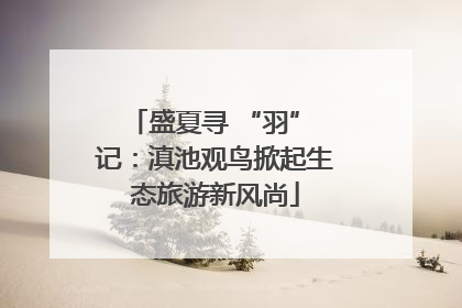 盛夏寻 “羽” 记：滇池观鸟掀起生态旅游新风尚