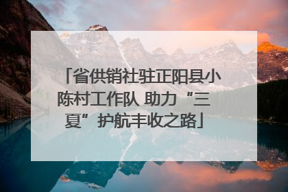 省供销社驻正阳县小陈村工作队 助力“三夏”护航丰收之路