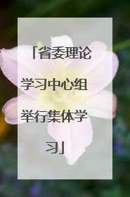 省委理论学习中心组举行集体学习