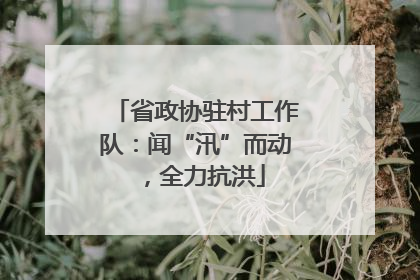省政协驻村工作队：闻“汛”而动，全力抗洪