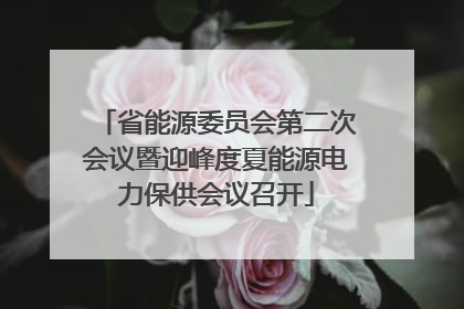省能源委员会第二次会议暨迎峰度夏能源电力保供会议召开