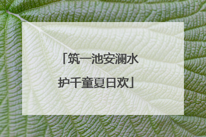 筑一池安澜水 护千童夏日欢