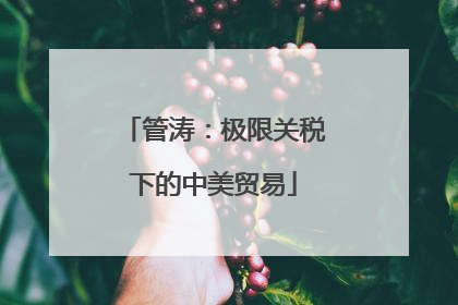 管涛：极限关税下的中美贸易
