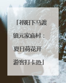 祁阳下马渡镇元家庙村：夏日荷花开 游客打卡热