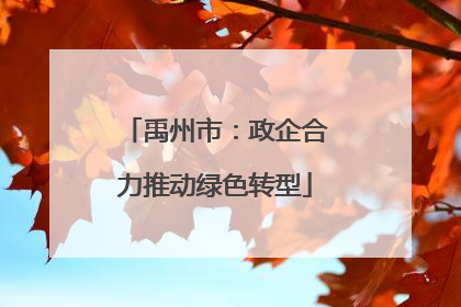 禹州市：政企合力推动绿色转型