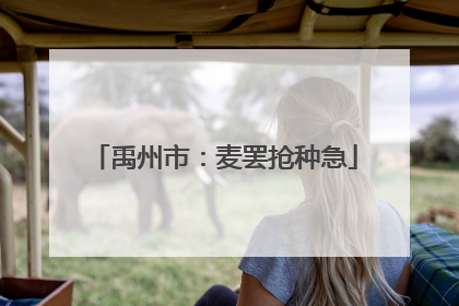 禹州市：麦罢抢种急