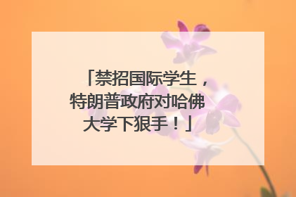 禁招国际学生，特朗普政府对哈佛大学下狠手！