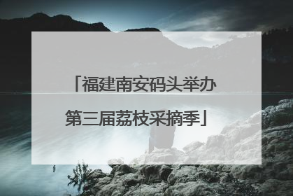 福建南安码头举办第三届荔枝采摘季