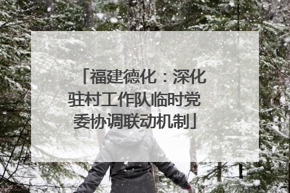福建德化：深化驻村工作队临时党委协调联动机制