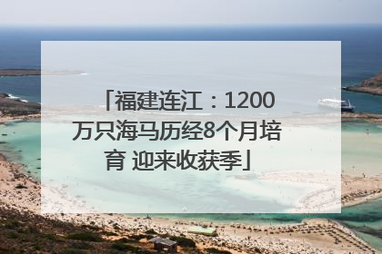福建连江：1200万只海马历经8个月培育 迎来收获季