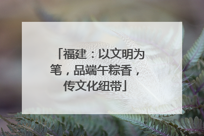 福建：以文明为笔，品端午粽香，传文化纽带