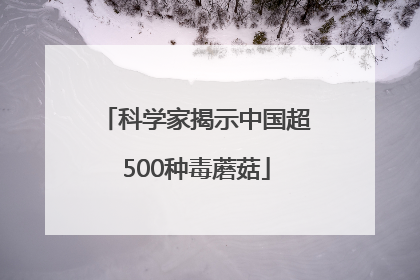 科学家揭示中国超500种毒蘑菇