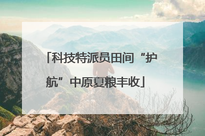 科技特派员田间“护航”中原夏粮丰收