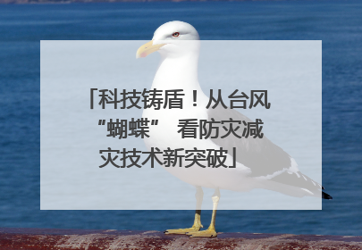 科技铸盾！从台风“蝴蝶” 看防灾减灾技术新突破
