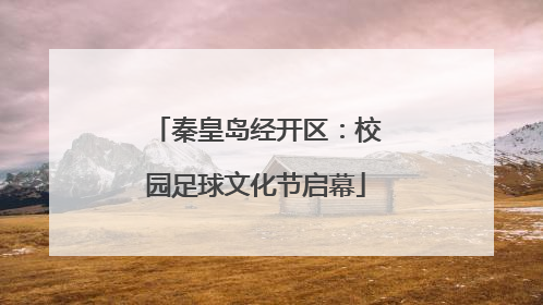 秦皇岛经开区：校园足球文化节启幕